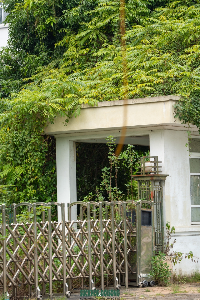 Hà Nội: Cận cảnh khu nhà tái định cư hoang tàn sau hơn 10 năm hoàn thành- Ảnh 10. Hà Nội: Cận cảnh khu nhà tái định cư hoang tàn sau hơn 10 năm hoàn thành- Ảnh 10.