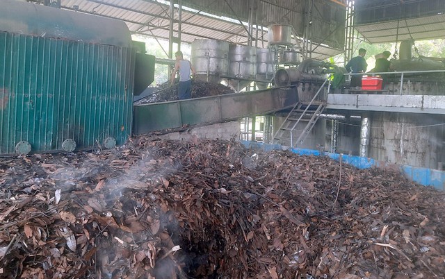 Lào Cai: Biến dược liệu bản địa thành ngành kinh tế mũi nhọn- Ảnh 3.