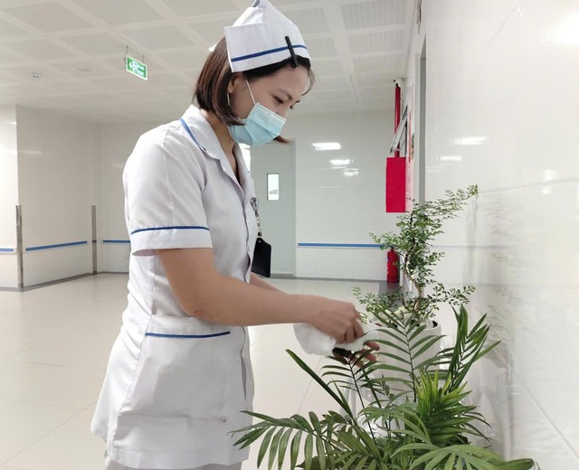 Bệnh viện Đa khoa Trung ương Cần Thơ chuẩn hóa môi trường y tế thân thiện với người bệnh- Ảnh 2.