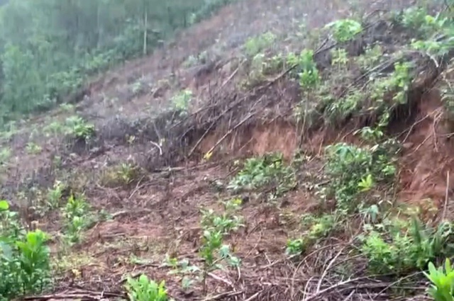 Đỉnh đồi ở Huế xuất hiện vết nứt hở hơn 1m- Ảnh 1. Đỉnh đồi ở Huế xuất hiện vết nứt hở hơn 1m- Ảnh 1.
