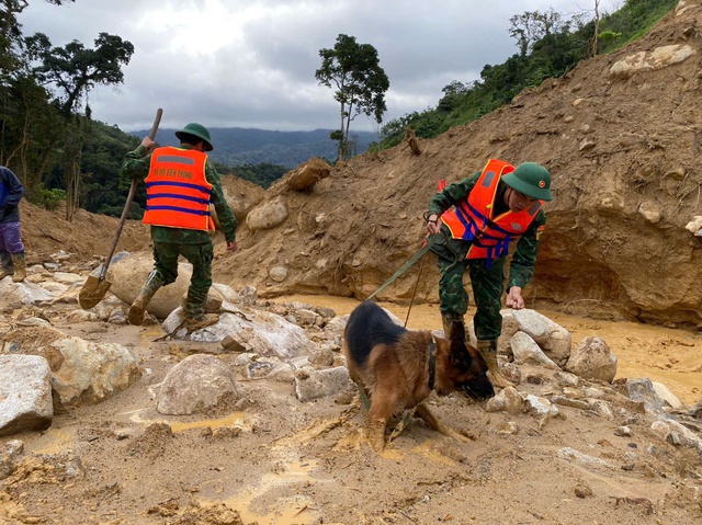 Nỗ lực tìm kiếm 2 nạn nhân còn lại trong vụ sạt lở ở Đà Nẵng- Ảnh 2. Nỗ lực tìm kiếm 2 nạn nhân còn lại trong vụ sạt lở ở Đà Nẵng- Ảnh 2.