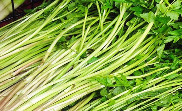 Người bị axit uric máu cao nên ăn gì?- Ảnh 2.