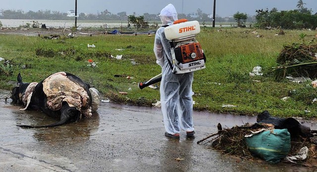 Giám đốc Sở Y tế Đắk Lắk: Cử các đội phản ứng nhanh đến hỗ trợ các xã thiệt hại nặng do lũ- Ảnh 2.
