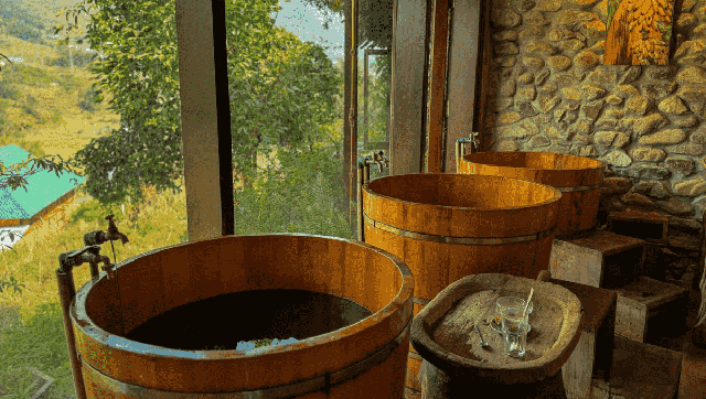 Biến đa dạng sinh học thành liệu pháp chữa lành tự nhiên- Ảnh 1. Biến đa dạng sinh học thành liệu pháp chữa lành tự nhiên- Ảnh 1.