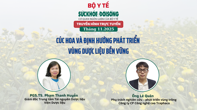 Truyền hình trực tuyến: Cúc hoa và định hướng phát triển vùng dược liệu bền vững- Ảnh 1. Truyền hình trực tuyến: Cúc hoa và định hướng phát triển vùng dược liệu bền vững- Ảnh 1.