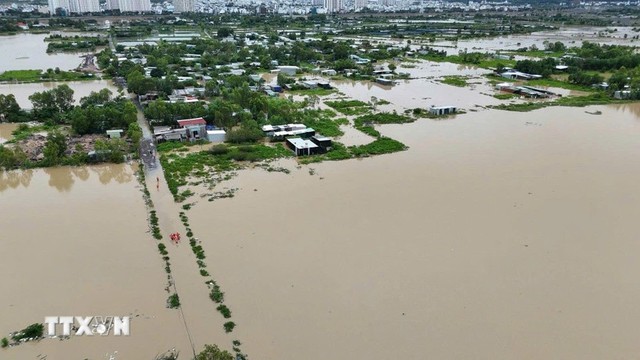 Bộ GD-ĐT sẽ cấp phát sách giáo khoa cho toàn bộ học sinh vùng lũ- Ảnh 1.