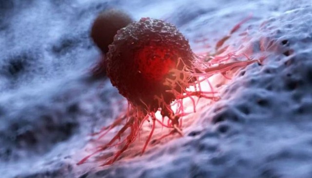 Phát hiện 'công tắc ẩn' khiến khối u kháng điều trị ung thư- Ảnh 1. Phát hiện 'công tắc ẩn' khiến khối u kháng điều trị ung thư- Ảnh 1.