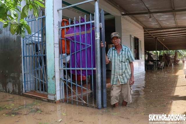 Nông dân Khánh Hòa kiệt quệ khi nho, táo, dê chết hàng loạt sau mưa lũ- Ảnh 7. Nông dân Khánh Hòa kiệt quệ khi nho, táo, dê chết hàng loạt sau mưa lũ- Ảnh 7.