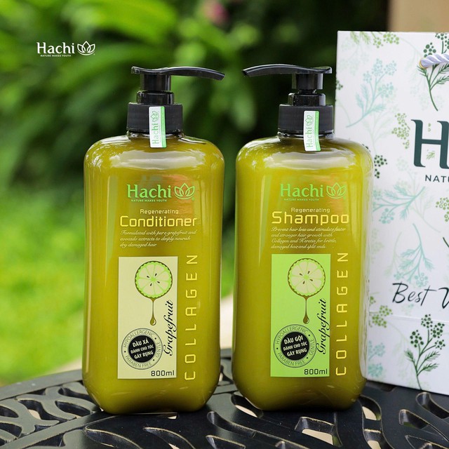 Hachi Việt Nam ra mắt bộ đôi dầu gội xả Regenerating chứa chiết xuất Bưởi & Bơ chuyên dành cho tóc gãy rụng- Ảnh 1.