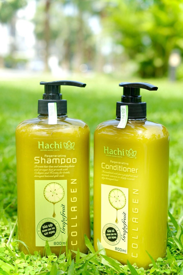 Hachi Việt Nam ra mắt bộ đôi dầu gội xả Regenerating chứa chiết xuất Bưởi & Bơ chuyên dành cho tóc gãy rụng- Ảnh 2.