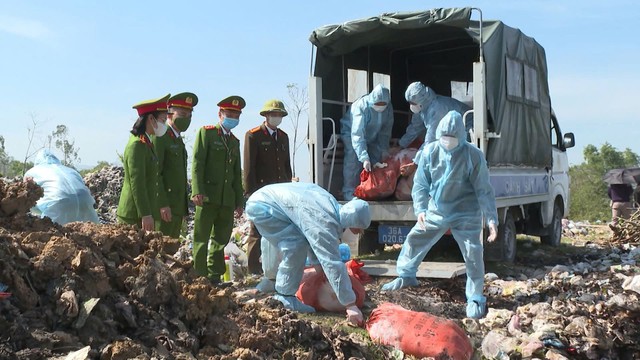 Tiêu hủy hơn 5 tạ lợn nhiễm dịch tả lợn châu Phi- Ảnh 2.