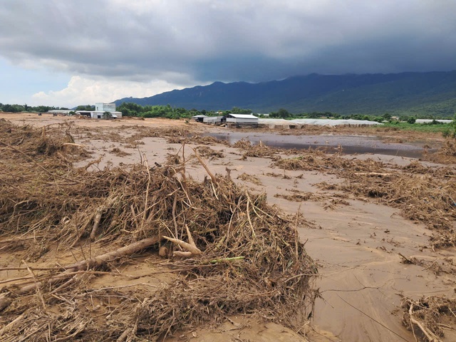 Vỡ 2 ao chứa nước, hàng trăm hộ dân ở Lâm Đồng bị thiệt hại nặng- Ảnh 2.