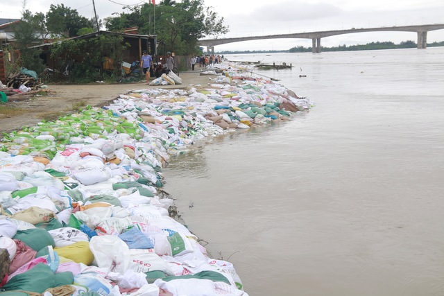 Bờ kè ven sông Thu Bồn bị 'ngoạm' từng mét, hàng nghìn người căng mình giữ đất- Ảnh 3. Bờ kè ven sông Thu Bồn bị 'ngoạm' từng mét, hàng nghìn người căng mình giữ đất- Ảnh 3.
