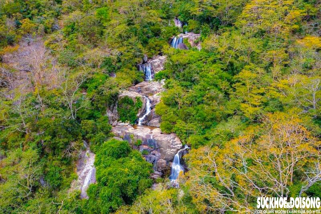 Mở rộng Khu dự trữ sinh quyển Núi Chúa: Kết nối rừng, biển và sinh kế cộng đồng- Ảnh 1. Mở rộng Khu dự trữ sinh quyển Núi Chúa: Kết nối rừng, biển và sinh kế cộng đồng- Ảnh 1.