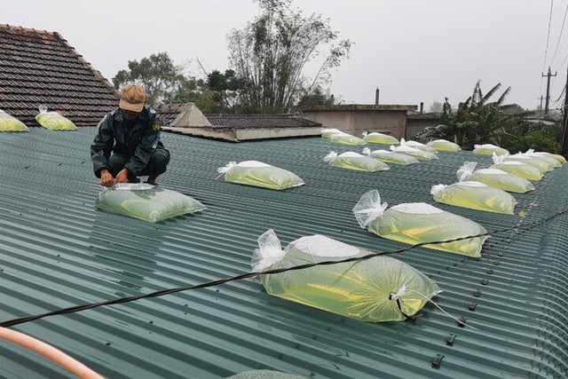 Hướng dẫn người dân bảo vệ nhà cửa trước khi bão số 13 đổ bộ- Ảnh 2.