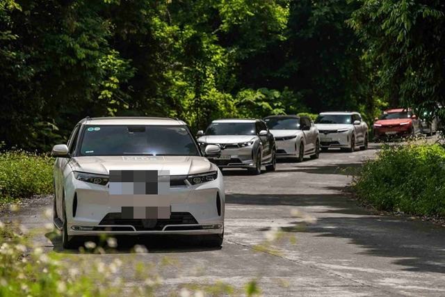 Có được sử dụng ô tô điện để học và thi bằng lái không? - Ảnh 1. Có được sử dụng ô tô điện để học và thi bằng lái không? - Ảnh 1.