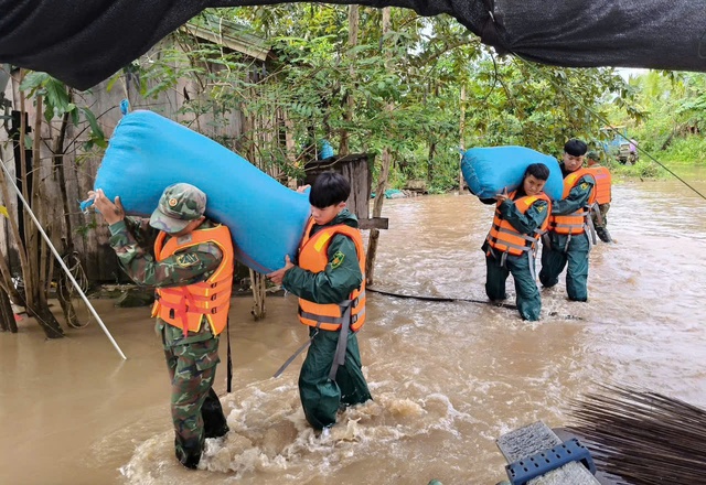 Xót xa hàng chục con trâu bị ngạt nước do bão số 13- Ảnh 2. Xót xa hàng chục con trâu bị ngạt nước do bão số 13- Ảnh 2.