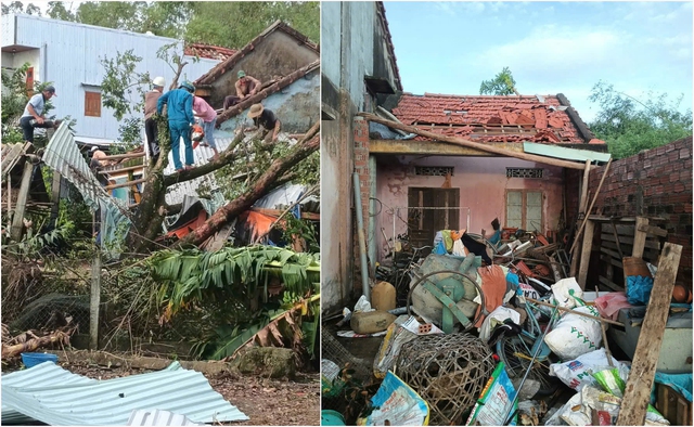 Đà Nẵng: 77 ngôi nhà bị tốc mái, cây xanh gãy đổ do bão số 13- Ảnh 3. Đà Nẵng: 77 ngôi nhà bị tốc mái, cây xanh gãy đổ do bão số 13- Ảnh 3.