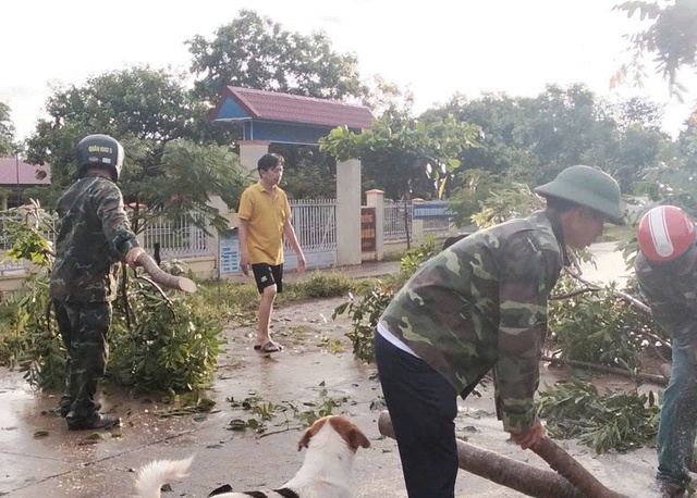 Xót xa hàng chục con trâu bị ngạt nước do bão số 13- Ảnh 4. Xót xa hàng chục con trâu bị ngạt nước do bão số 13- Ảnh 4.