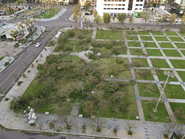 Quy Nhơn tan hoang sau bão số 13: Trụ đèn gãy đổ cả loạt, nhiều ngôi nhà tốc mái- Ảnh 2. Quy Nhơn tan hoang sau bão số 13: Trụ đèn gãy đổ cả loạt, nhiều ngôi nhà tốc mái- Ảnh 2.