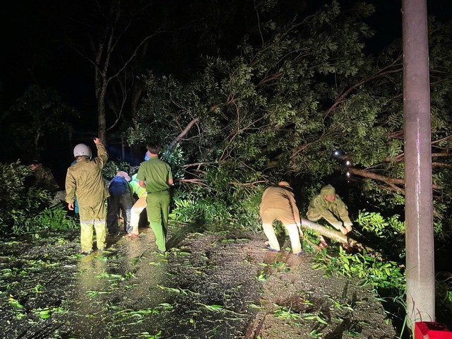 Gia Lai và Đắk Lắk khẩn trương khắc phục hậu quả bão số 13- Ảnh 1. Gia Lai và Đắk Lắk khẩn trương khắc phục hậu quả bão số 13- Ảnh 1.