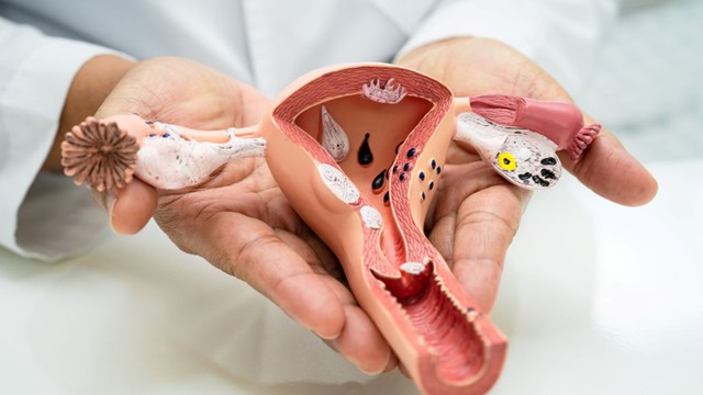 Mẹ sau sinh bao lâu mới được quan hệ?- Ảnh 1. Mẹ sau sinh bao lâu mới được quan hệ?- Ảnh 1.