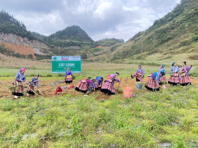 Ích Nhi kiên định phát triển nguồn dược liệu sạch chuẩn GACP-WHO- Ảnh 1. Ích Nhi kiên định phát triển nguồn dược liệu sạch chuẩn GACP-WHO- Ảnh 1.