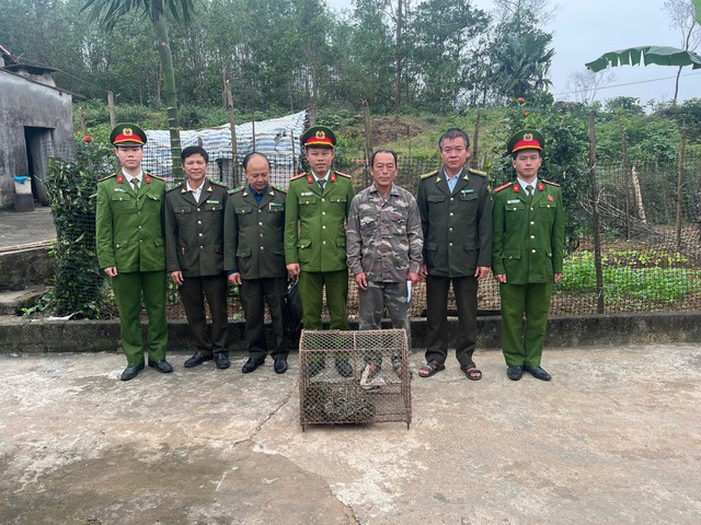 Liên tiếp phát hiện động vật quý hiếm bò vào vườn nhà dân- Ảnh 2. Liên tiếp phát hiện động vật quý hiếm bò vào vườn nhà dân- Ảnh 2.