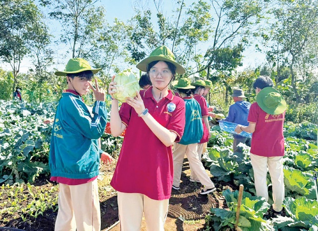 Phát triển toàn diện ở trường phổ thông chất lượng cao tại Gia Lai- Ảnh 3. Phát triển toàn diện ở trường phổ thông chất lượng cao tại Gia Lai- Ảnh 3.