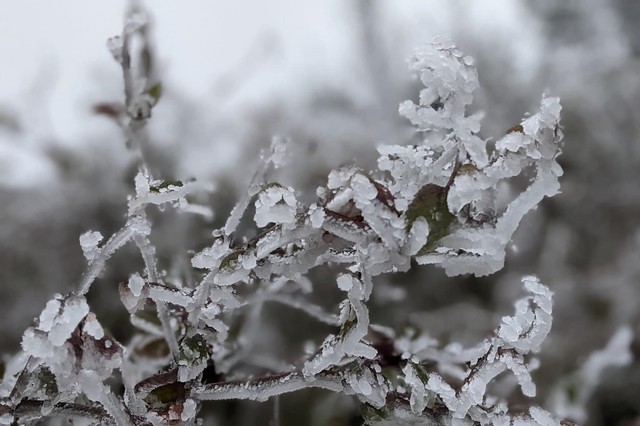 Đợt rét ở miền Bắc kéo dài đến khi nào? - Ảnh 1. Đợt rét ở miền Bắc kéo dài đến khi nào? - Ảnh 1.