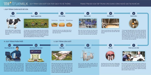 Cánh đồng hướng dương tại Nghệ An mở cửa đón khách tham quan từ 16/12/2025- Ảnh 5. Cánh đồng hướng dương tại Nghệ An mở cửa đón khách tham quan từ 16/12/2025- Ảnh 5.