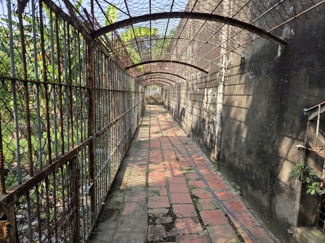 Phát hiện cơ sở nuôi nhốt nhiều động vật hoang dã nguy cấp ở TPHCM- Ảnh 4. Phát hiện cơ sở nuôi nhốt nhiều động vật hoang dã nguy cấp ở TPHCM- Ảnh 4.