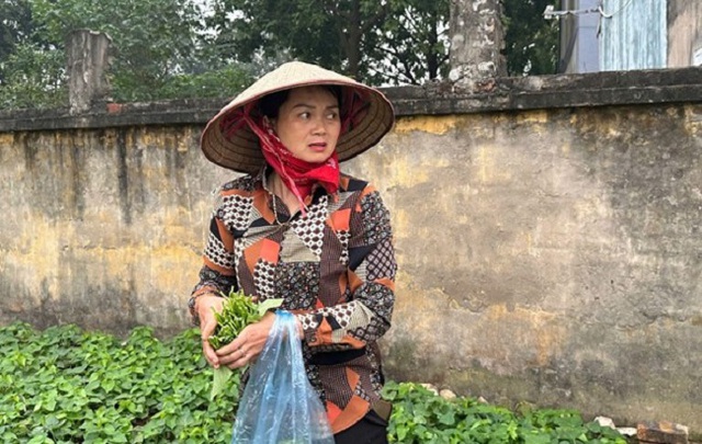 Đốt rác tự phát, nguyên nhân làm nghiêm trọng thêm ô nhiễm không khí- Ảnh 4.