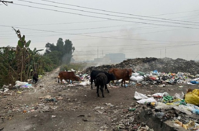 Đốt rác tự phát, nguyên nhân làm nghiêm trọng thêm ô nhiễm không khí- Ảnh 5.