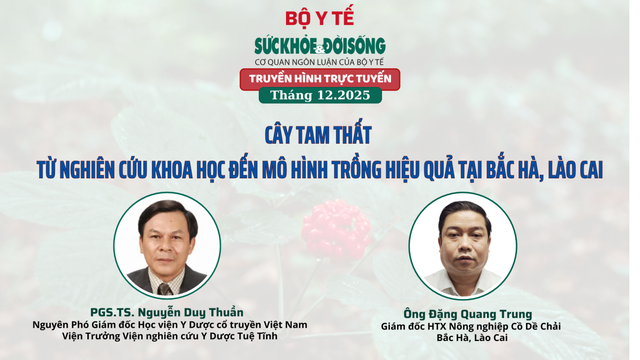 Truyền hình trực tuyến: 'Cây tam thất – Từ nghiên cứu khoa học đến mô hình trồng hiệu quả tại Bắc Hà, Lào Cai'- Ảnh 1.