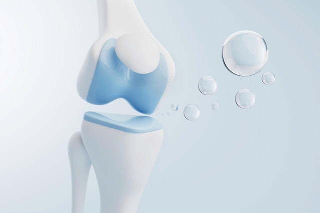 Sụn khớp và lão hóa: những điều bạn cần biết để bảo vệ hệ vận động- Ảnh 2.