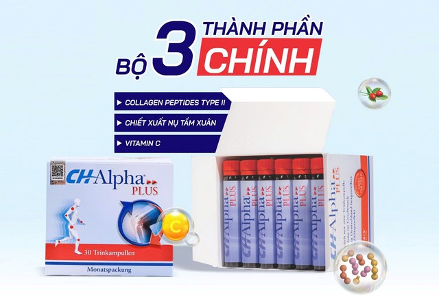 Sụn khớp và lão hóa: những điều bạn cần biết để bảo vệ hệ vận động- Ảnh 3.
