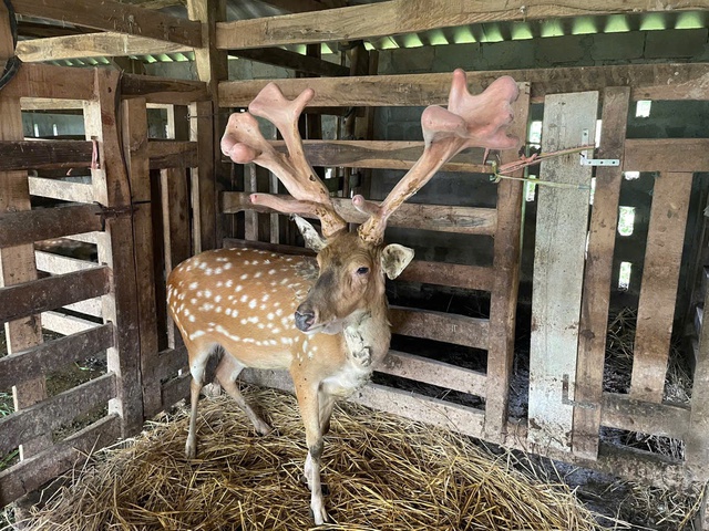 Hà Tĩnh đẩy mạnh công tác giảm nghèo bền vững- Ảnh 1.