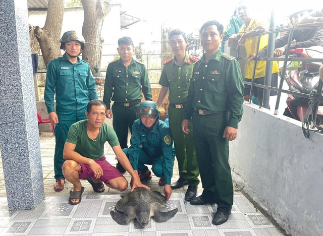 Ngư dân trao trả đồi mồi dứa quý hiếm về với biển- Ảnh 2. Ngư dân trao trả đồi mồi dứa quý hiếm về với biển- Ảnh 2.