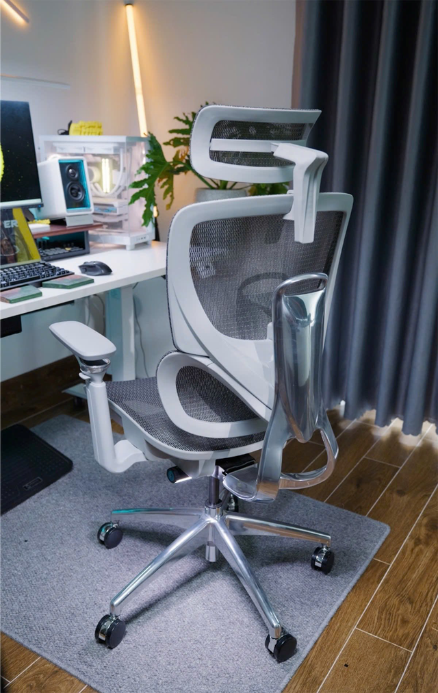 Ghế công thái học có thực sự tốt không? Giải đáp từ BCHAIR- Ảnh 1.