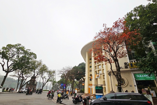 Miền Bắc nắng ban ngày trước khi chuyển mưa rải rác từ 24/12- Ảnh 1.