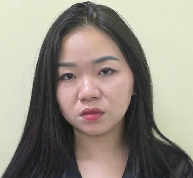Bắt giữ Dương Thị Hoàng Yến về hành vi môi giới mại dâm- Ảnh 1.