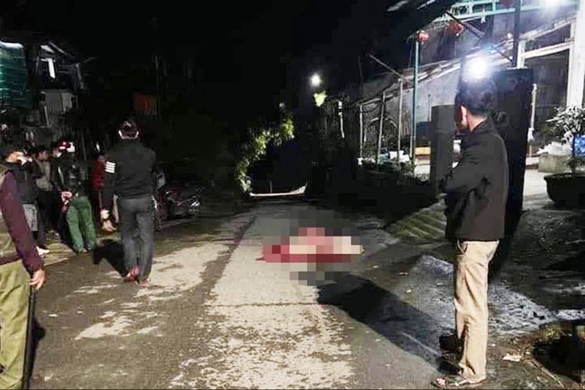 Y án tử hình kẻ sát hại mẹ ruột rồi phi tang xác- Ảnh 2.