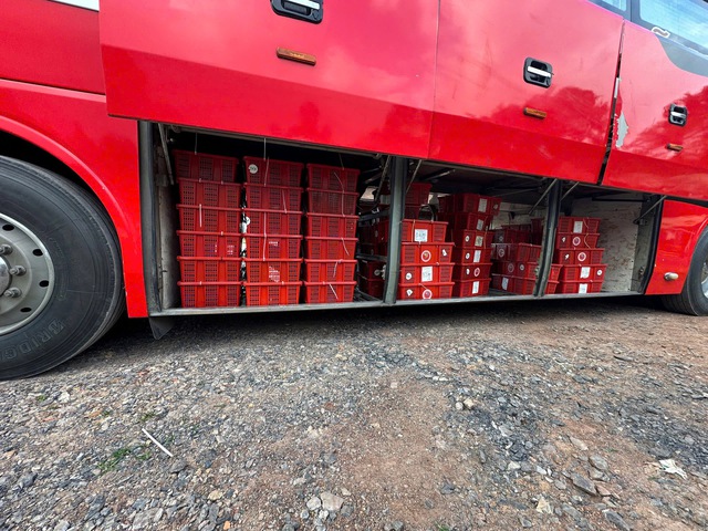 Phát hiện vụ vận chuyển trái phép gần 1 tấn rắn cực độc- Ảnh 1.