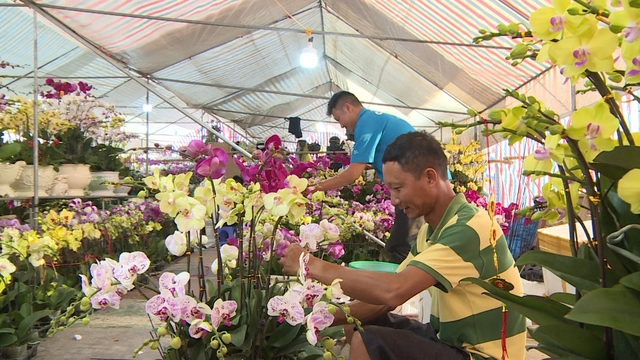 Năm thiên tai bão lũ lịch sử, thị trường hoa Tết sẽ diễn biến thế nào?- Ảnh 2.