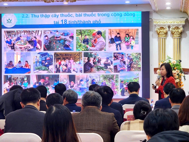 Bảo tồn nguồn gen cây thuốc và tri thức sử dụng các bài thuốc Y học cổ truyền- Ảnh 3.