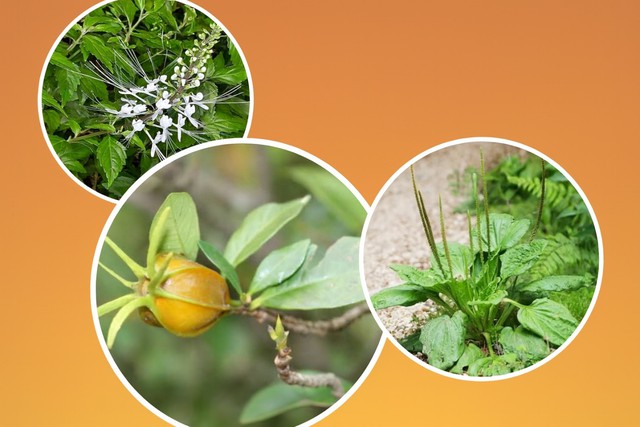 Mắc suy thận chỉ vì 6 thói quen sinh hoạt này!- Ảnh 2.