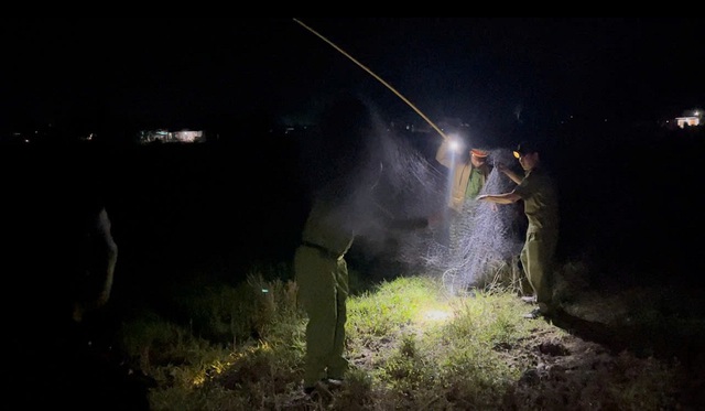 Nghệ An đồng loạt truy quét, chặn đứng nạn tận diệt chim hoang dã- Ảnh 2.