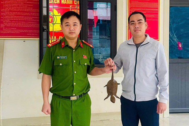 Người dân miền Tây Nghệ An liên tiếp giao nộp động vật hoang dã quý hiếm- Ảnh 1.