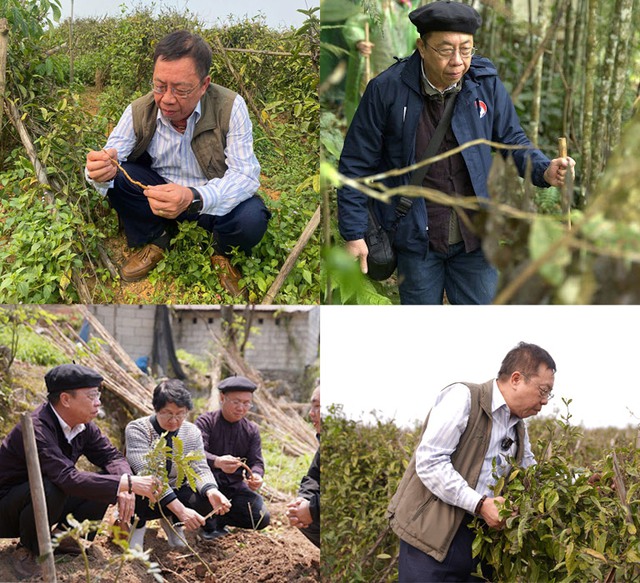 TTƯT.BS CK2 Lê Hữu Tuấn - Hơn 40 năm gìn giữ, phát triển tinh hoa thuốc Nam- Ảnh 2.